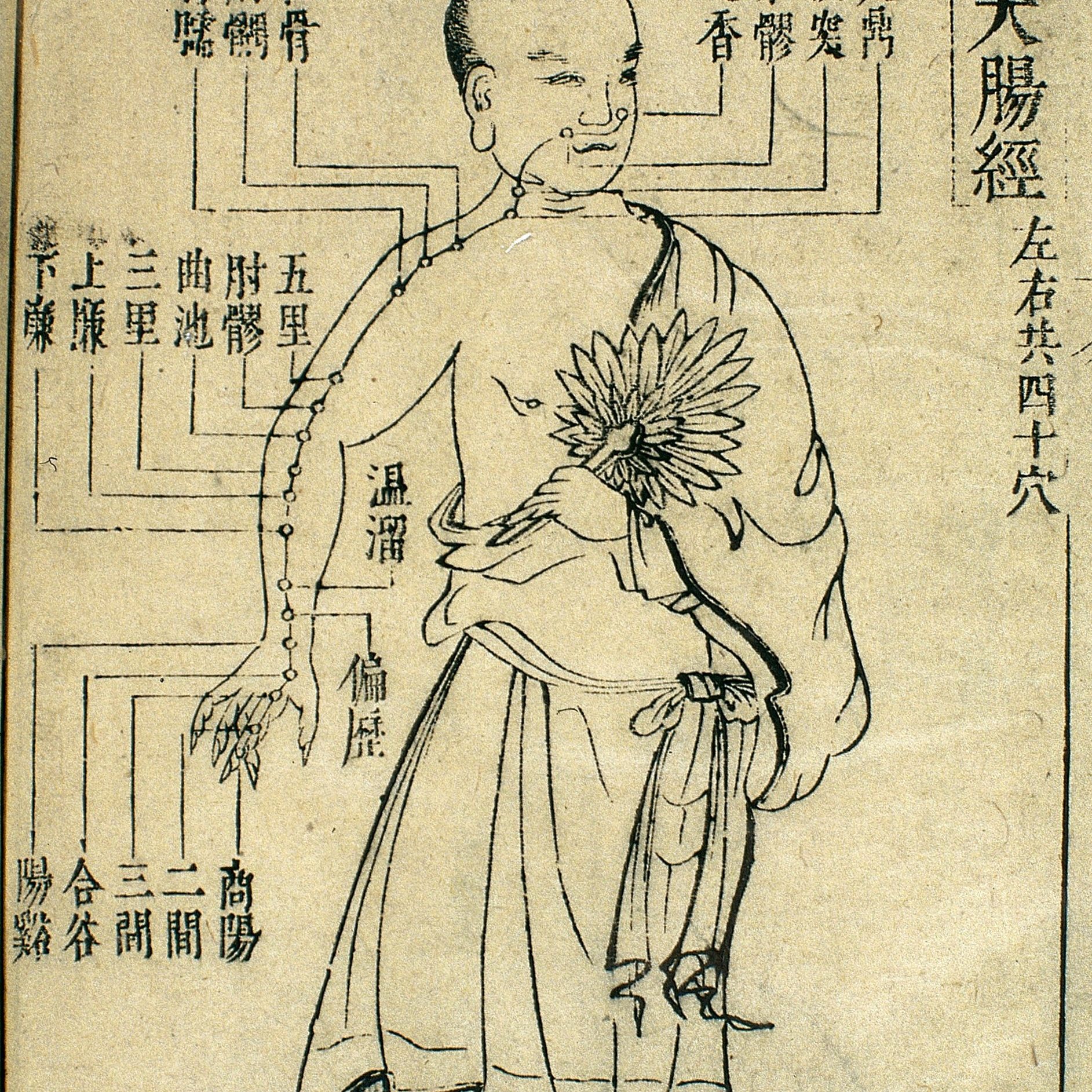 Méridien Planche ancienne d'acupuncture.