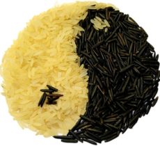 rice-74314__340 rice-74314__340